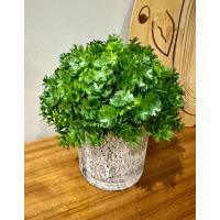 Modern Tasarım: Saksıda Dekoratif Yapay Yeşillik 17 cm