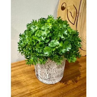 Modern Tasarım: Saksıda Dekoratif Yapay Yeşillik 17 cm
