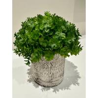 Modern Tasarım: Saksıda Dekoratif Yapay Yeşillik 17 cm
