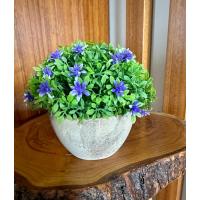 Premium Saksılı Yapay Çiçek Dekoratif Masaüstü Bitkisi 13x16 cm ?