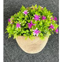 Premium Yapay Çiçek Saksıda Pembe Dekoratif Ev Ofis Bitkisi ?