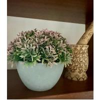 Premium Yapay Grevillea Çiçeği Antrasit Saksılı Premium Ev Ofis Dekorasyonu ?