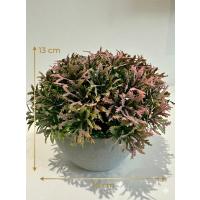 Premium Yapay Grevillea Çiçeği Antrasit Saksılı Premium Ev Ofis Dekorasyonu ?