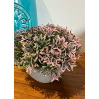 Premium Yapay Grevillea Çiçeği Antrasit Saksılı Premium Ev Ofis Dekorasyonu ?