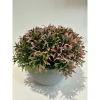 Premium Yapay Grevillea Çiçeği Antrasit Saksılı Premium Ev Ofis Dekorasyonu ?