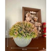 Premium Yapay Saksılı Çim Bitki - Dekoratif Ev Ofis Aksesuarı 13x16 cm ✨