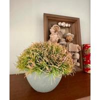 Premium Yapay Saksılı Çim Bitki - Dekoratif Ev Ofis Aksesuarı 13x16 cm ✨