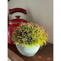 Premium Yapay Saksılı Çim Bitki - Dekoratif Ev Ofis Aksesuarı 13x16 cm ✨