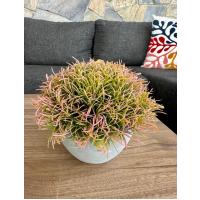 Premium Yapay Saksılı Çim Bitki - Dekoratif Ev Ofis Aksesuarı 13x16 cm ✨