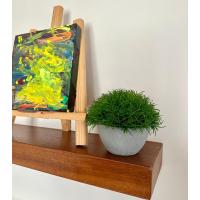 Premium Yapay Scleranthus (Minder Çiçeği) Saksılı Ev Ofis Dekorasyonu ?