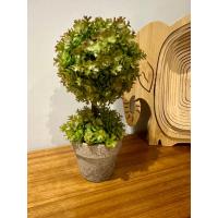 Premium Yapay Sukulent / Canlı Görünümlü Dekoratif Bitki - Gri Saksılı 13x17 cm