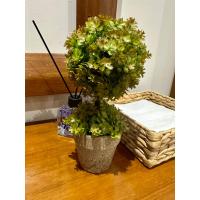 Premium Yapay Sukulent / Canlı Görünümlü Dekoratif Bitki - Gri Saksılı 13x17 cm