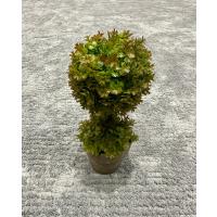 Premium Yapay Sukulent / Canlı Görünümlü Dekoratif Bitki - Gri Saksılı 13x17 cm