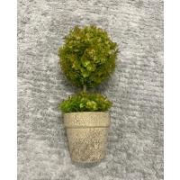 Premium Yapay Sukulent / Canlı Görünümlü Dekoratif Bitki - Gri Saksılı 13x17 cm