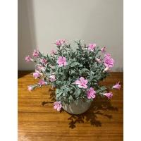 Saksıda Dekoratif Pembe Bahar Çiçeği - 20 cm (Yapay Çiçek 3 Saksı )