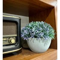 Yapay Grevillea Çiçeği Lila-Yeşil Antrasit Saksılı Premium Ofis Ev Dekorasyonu ?