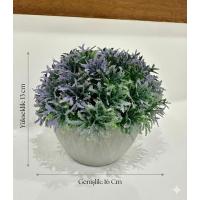 Yapay Grevillea Çiçeği Lila-Yeşil Antrasit Saksılı Premium Ofis Ev Dekorasyonu ?