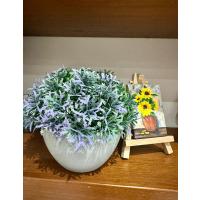 Yapay Grevillea Çiçeği Lila-Yeşil Antrasit Saksılı Premium Ofis Ev Dekorasyonu ?