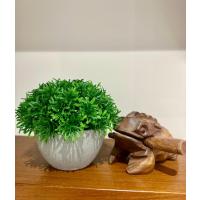 Yapay Scleranthus (Minder Çiçeği) Antrasit Saksılı Premium Dekoratif Bitki ?