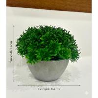 Yapay Scleranthus (Minder Çiçeği) Antrasit Saksılı Premium Dekoratif Bitki ?