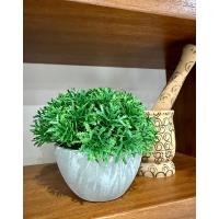 Yapay Scleranthus (Minder Çiçeği) Antrasit Saksılı Premium Dekoratif Bitki ?