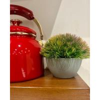 Yapay Scleranthus (Minder Çiçeği) Kızıl Yeşil Antrasit Saksılı Premium Dekor ?