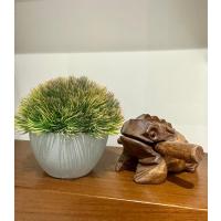 Yapay Scleranthus (Minder Çiçeği) Kızıl Yeşil Antrasit Saksılı Premium Dekor ?