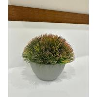 Yapay Scleranthus (Minder Çiçeği) Kızıl Yeşil Antrasit Saksılı Premium Dekor ?