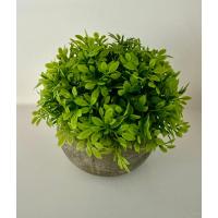 Yapay Şimşir (Boxwood) Çiçeği Antrasit Modern Saksılı Premium Ev Ofis Dekoru ?