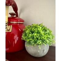 Yapay Şimşir (Boxwood) Çiçeği Antrasit Modern Saksılı Premium Ev Ofis Dekoru ?