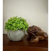 Yapay Şimşir (Boxwood) Çiçeği Antrasit Modern Saksılı Premium Ev Ofis Dekoru ?