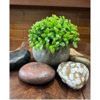 Yapay Şimşir (Boxwood) Çiçeği Premium Antrasit Saksılı Ofis Ev Dekorasyonu ?