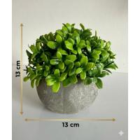 Yapay Şimşir (Boxwood) Çiçeği Premium Antrasit Saksılı Ofis Ev Dekorasyonu ?