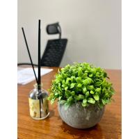 Yapay Şimşir (Boxwood) Çiçeği Premium Antrasit Saksılı Ofis Ev Dekorasyonu ?