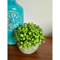 Yapay Şimşir (Boxwood) Çiçeği Premium Antrasit Saksılı Ofis Ev Dekorasyonu ?