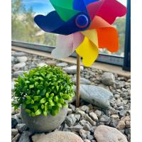 Yapay Şimşir (Boxwood) Çiçeği Premium Antrasit Saksılı Ofis Ev Dekorasyonu ?