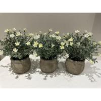 Yaşam Alanlarınıza Doğal Bir Dokunuş: 3’lü Dekoratif Saksılı Yapay Çiçek Seti