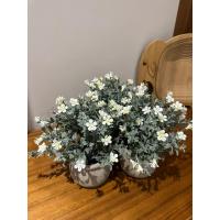 Yaşam Alanlarınıza Doğal Bir Dokunuş: 3’lü Dekoratif Saksılı Yapay Çiçek Seti